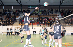 flavia-(1)